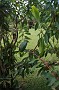 P_2007-12-16 08-43-39_1117